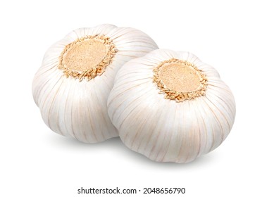 Two heads of garlic. Realistic 3d Vector illustration isolated on white background.