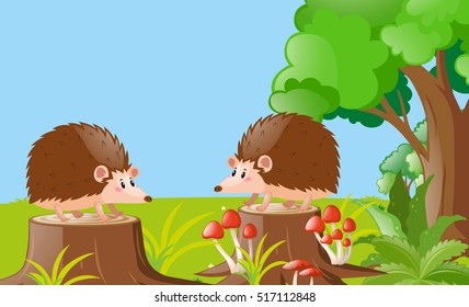 Two hedgehogs in the garden illustration