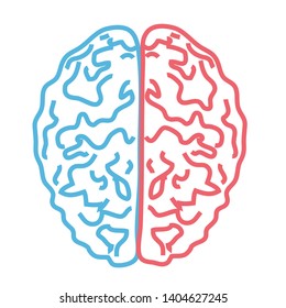 Two hemispheres of the brain on a white background. Vector illustration.