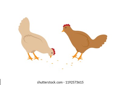 Two hens eating seeds vector icons in cartoon style. Pale domestic birds with wings, tails and red crest isolated on white, simple design for kid book