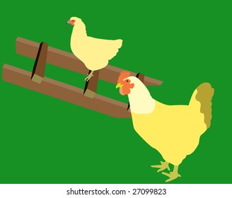 Two hens in a hen house.Vector.Without mesh.