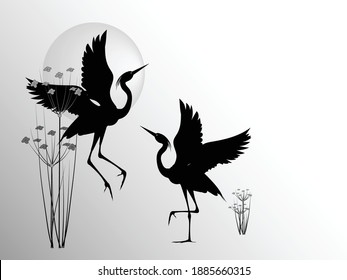 Two herons and raised wings the background marsh plants   sun isolated white background  Vector silhouette drawing 