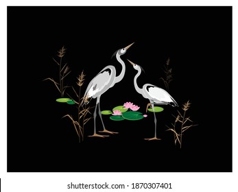 Two herons stand in the reeds against a black background of a pond with beautiful water lilies. Colorful vector illustration for design.