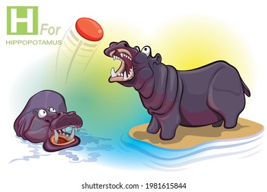 Two hippopotamus playing ball. one is standing on the land and other one floating water