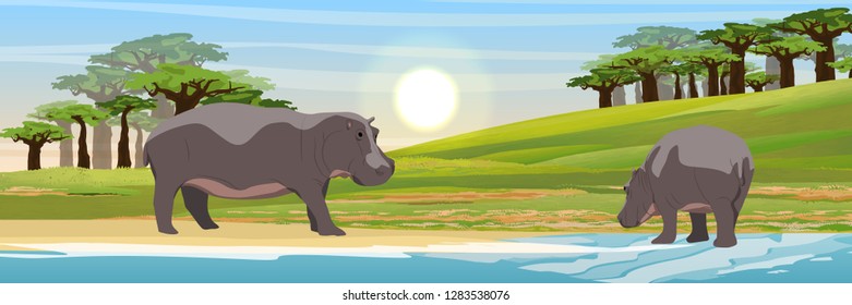 Two hippos in the savannah. Mother and cub. Baobabs and the lake. Wild animals of Africa. Realistic Vector Landscape
