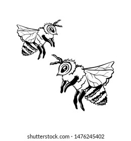 Two Honey Bee, Outline Logo Design. Isolated Vector. Black Engraved Element. Vintage Style Illustration of Flying Wasp