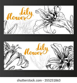 Two horizontal banners with lily flowers and buds ink on a white background