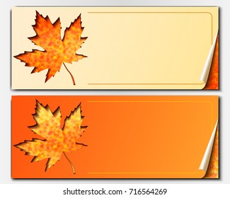 Two horizontal vector banners. Carved in paper the contour of a maple leaf with a background of fallen leaves.