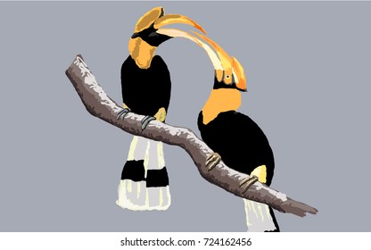 two hornbill on a branch