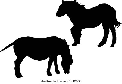 two horses