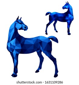 two horses in blue, isolated image on a white background in the low poly style