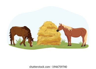 Two horses eat hay from the trough on the farm. Country pet. Isolated character on a white background. Vector illustration in a flat style