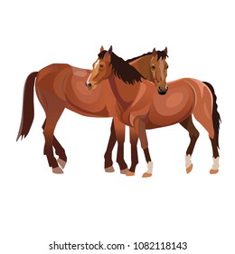 Two horses grooming each other. Vector illustration isolated on white background