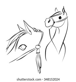 Two horses head, vector sketch