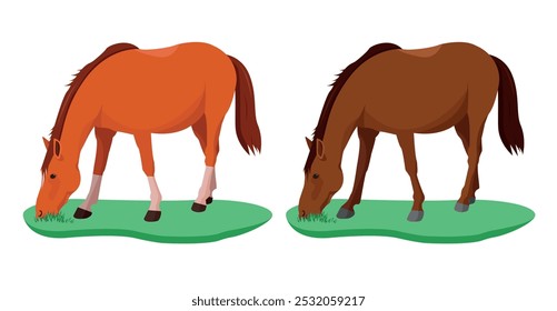 Dos caballos en un prado con hierba. Ilustración vectorial.