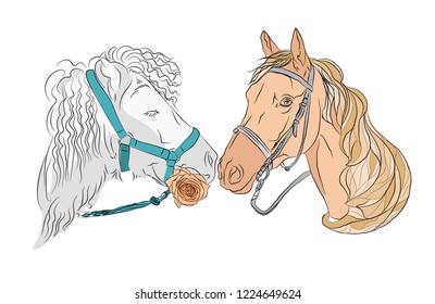 Two horses, a pair of beautiful. love the horse holds a rose in its mouth. Vector illustration on white