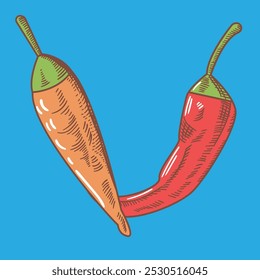 two hot pepper pods vector illustration