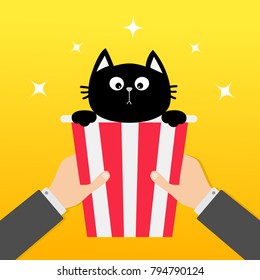 Two human businessman hands holding popcorn box with black cat. Movie Cinema icon in flat design style. Pop corn. Yellow gradient background. Shining stars. Vector illustration
