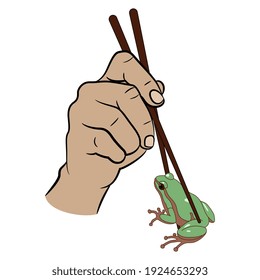 Two human hands holding green frog with chopsticks. Funny concept for exotic food.