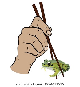 Two human hands holding green frog or toad with chopsticks. Funny concept for exotic food.