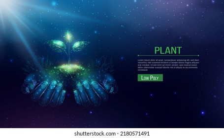 Two human hands are holds green sprout. Glowing low poly hands and plant on dark blue background. Wireframe low poly design. Abstract futuristic vector illustration.  