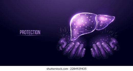 Two human hands are holds human liver. Support healthy liver concept. Wireframe glowing low poly design on dark blue background. Abstract futuristic vector illustration.    