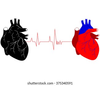 two human hearts in different colors black red