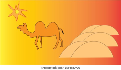 A two humps camel walking over desert under hot summer sun.