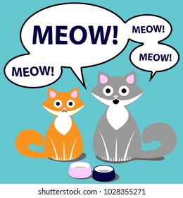 Two hungry cats say meow