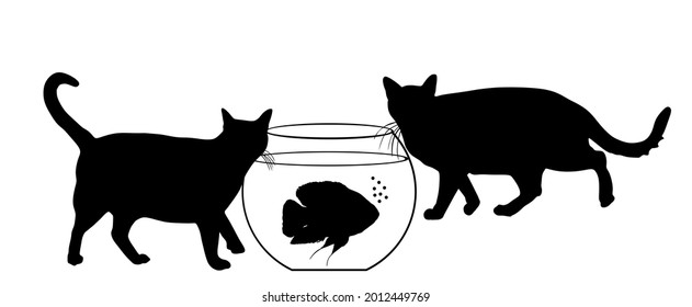Two hungry cats walking around Oscar fish in fishbowl aquarium vector silhouette illustration isolated on white background. Home pet, curious cat and scared fish.
