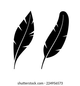 Two Icon Style Feathers on White Background. Vector illustration