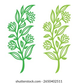 Two identical leafy plant illustrations in green with intricate detailing. The twin plant shapes look stylized and decorative, conveying a botanical theme.