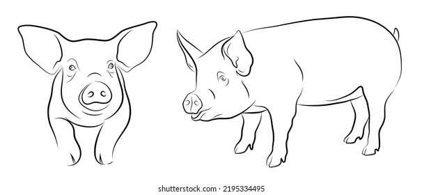 Two illustrations of a linear image of a pig.