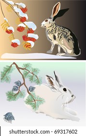 two illustrations with winter rabbits in snow