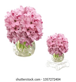 Two images of a flower of a hyacinth (Hyacinthus L.) in a vase, the color vector image on a white background