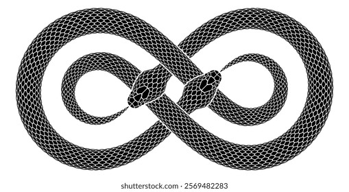 Two intersecting black snakes biting their tails in the form of double infinity sign. Vector illustration of ouroboros symbol. Serpent tattoo design isolated on white background.