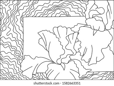 Two iris flowers on card. Hand drawn. Art line. Good for card print, adult coloring book