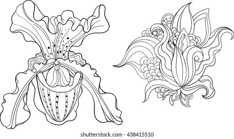 Two isolated black and white flowers. Coloring page.