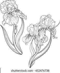 Two isolated black and white iris flowers. Coloring page.