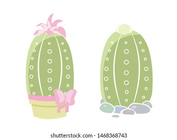 Two isolated cactus on white background. Cute succulent in a pot and on pebbles.Vector illustration. Print cactus collection.