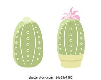 Two isolated cactus on white background. Cute succulent in a pot with  pink flower. Vector illustration. Print cactus collection.