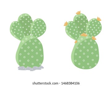 Two isolated cactus on white background. Cute succulent Opuntia in a pot. Vector illustration. Print cactus collection.