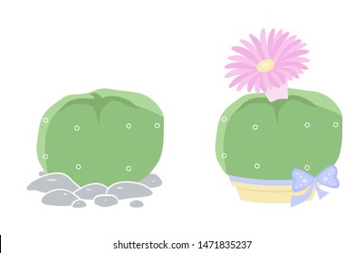 Two isolated cactus on white background. Cute succulent in a pot and on pebbles. Vector illustration. Lophophora or Peyote. Print cactus collection.