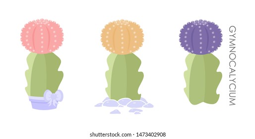 Two isolated cactus on white background. Cute succulent in a pot and on pebbles.  Vector illustration. Gymnocalycium. Print cactus collection.