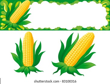 Two isolated corns and web banner for thanksgiving