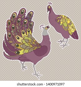 Two isolated exotic peacock birds. Vector illustration