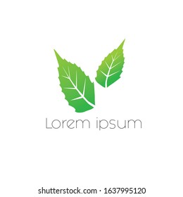 
two isolated green leaf icons on a white background. Various forms of green leaves and trees. Elements for eco and bio logos