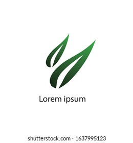 
two isolated green leaf icons on a white background. Various forms of green leaves and trees. Elements for eco and bio logos