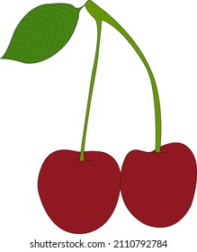 Two isolated healthy fresh cherrys