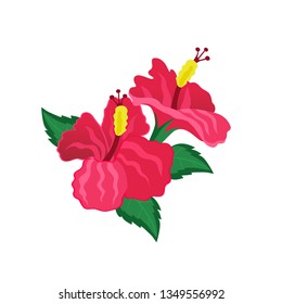 two isolated red hibiscus flower vector image